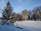 [Photo of Victoria Park after record snowfall]