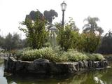 [Photo of Parque El Olivar]