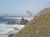 [Photo of the coast]
