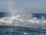 [Photo of waves]