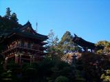 [Photo of the Japanese Tea Garden]