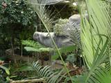 [Garden]