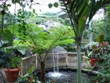 [Garden]