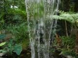 [Garden]