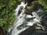 [Photo of Hilton Falls]