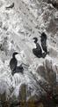 [Photo of Inca Tern and Guanay Cormorants]