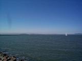 [Berkeley Pier]