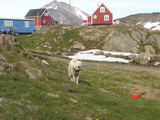 [Photo of Kulusuk]