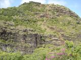 [Photo of mountain near ʻŌpaekaʻa Falls]