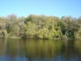 [Photo of the Speed River]