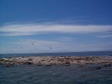 [Photo of island scenery from Fathom Five National Marine Park]