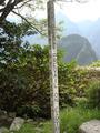 [Photo of sign post reading "May peace prevail on Earth"]