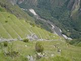 [Photo of terraces]