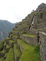 [Photo of terraces]
